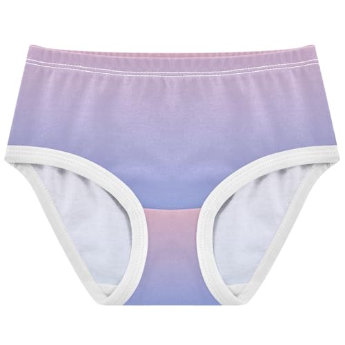 Joisal Toddler Underwear Floral 2t Cotton Cute Panties Girl Animals Kids Undies Briefs Blush Pink Blue Gradient