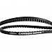 Gates Carbon Drive Sport Cing.cdx 125t 1375mm schwarz Kupplungen, Mehrfarbig (Mehrfarbig), Einheitsgröße Baby,Schwarz günstig Kaufen-Gates Carbon Drive Sport Cing.cdx 125t 1375mm schwarz Kupplungen, Mehrfarbig (Mehrfarbig), Einheitsgröße