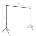 EMART Backdrop Stand, 2 x 3 m Adjustable Background Frame with Mini Ball Head, Backdrop Support System Kit for Photography Studio Photo Video Wedding Party