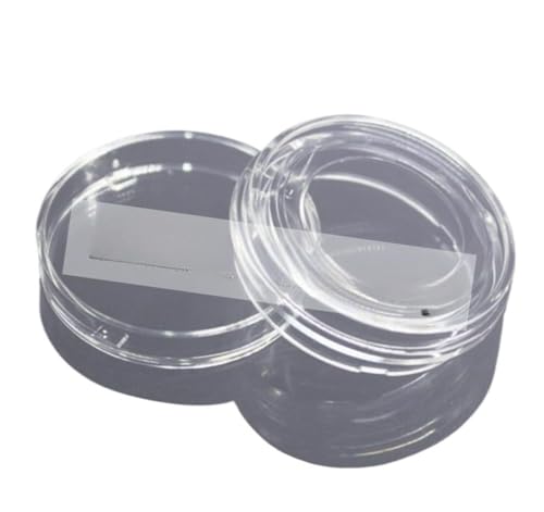 10 Pack BS-15-GJM Glass confocal Culture Dish 15mm-
