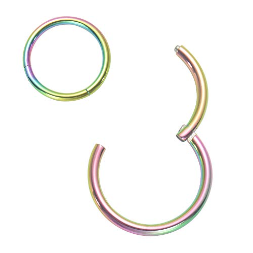 Afftiny 2 Piece 11MM Hoop Earrings 18G Rainbow Thin Nose Rings for Women Girls Hinged Hypoallergenic Surgical Steel Solid Cartilage Piercing Seamless Ring for Helix, Daith, Snug, Tragus, Third Hole