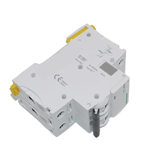 Mini-disjoncteur à vide A9F18202 IC65N de haute précision 2P C2A - 3