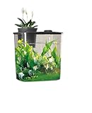 Aquario Para Peixes Betta 19x11x17cm 3,5l Com Bomba E AcessóRios E Led(LPS-7101)
