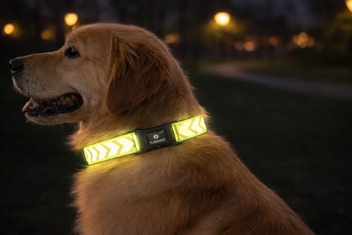 collare cane - Fergu fluo giallo L - 45-65 cm - 25 mm - nylon regolabile - chiusura a scatto - riflettente