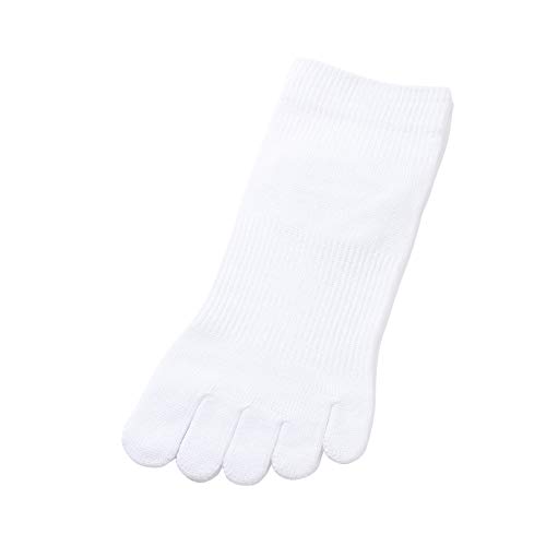 [CS] t@CuRtH[g \bNX M[ AN (N, zCg) w RtH[gT|[g \bNX 5{w T|[^[ t@CuRtH[g O G    C T|[g St X|[c