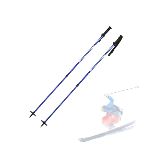 スキーストック伸縮」の人気商品一覧 | 安い商品を通販サイトから探す