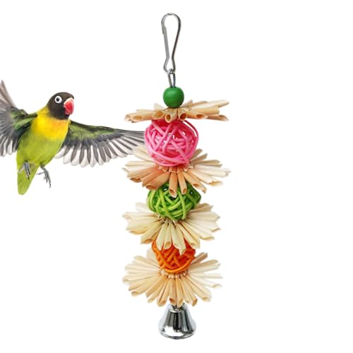 ���̍גf�������� | �I�J���C���R�̂�������A ���̊��ނ������� - �����t�b�N�t���J���t���ȃZ�L�Z�C�C���R�̍גf��������A�������̂��܂��܂Ȓ��̌��̑���