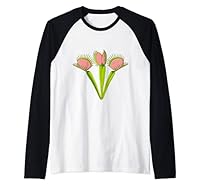 Fleischfressende Pflanze Venusfliegenfalle Raglan