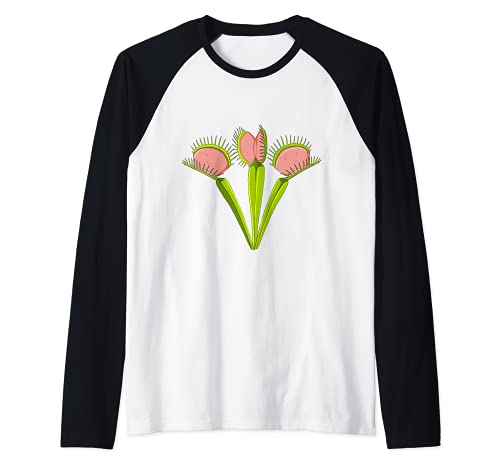 Fleischfressende Pflanze Venusfliegenfalle Raglan