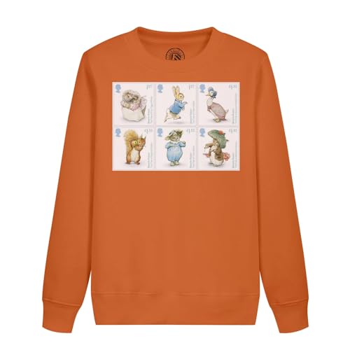 Sweat enfant illustration Beatrix Potter idéal pour l'école et le parc