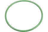 URO Parts LR000966 Fuel Filter O-Ring