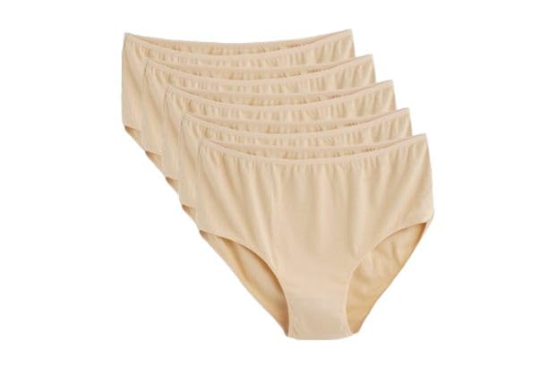 PlusSize Cotton Brief Panties 5 Pack High Waisted Womens
