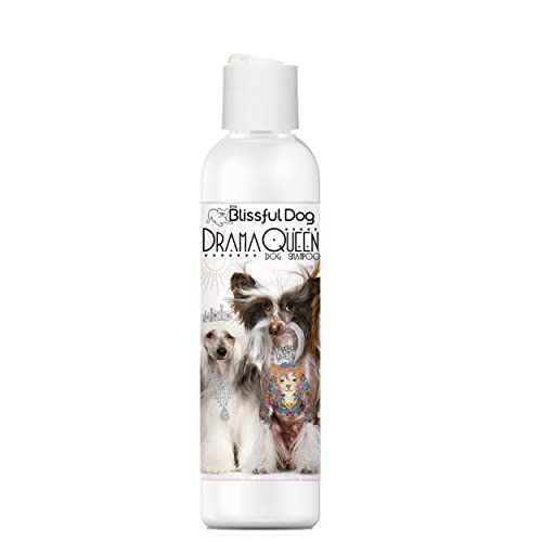 The Blissful Dog Chinese Crested Drama Queen Dog Shampoo, 4 oz.