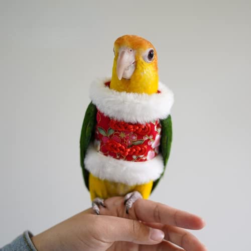 Image of Bird Costume Flight Suit Clothes Cosplay Photo Prop for Parrots Parakeet Cockatiel Sun Conure, Hoodie Small Animals Apparel (Red, Small), Green
