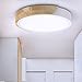 Plafonnier LED, TaFiCo Luminaire Plafonnier 24W Blanc Froid 6000K en Bois Ø30*5CM, Lampe de Plafond 2400Lumen Ronde Moderne pour Bureau Salon Chambre Cuisine Balcon Couloir
