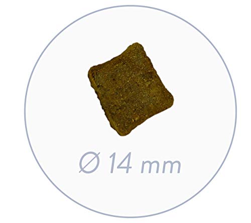 Bosch HPC Soft Junior Hühnchen & Süßkartoffel | halbfeuchtes Hundefutter für wachsende Hunde Aller Rassen | Single Protein | Grain-Free | 1 x 2.5 kg (Packung mit 2)