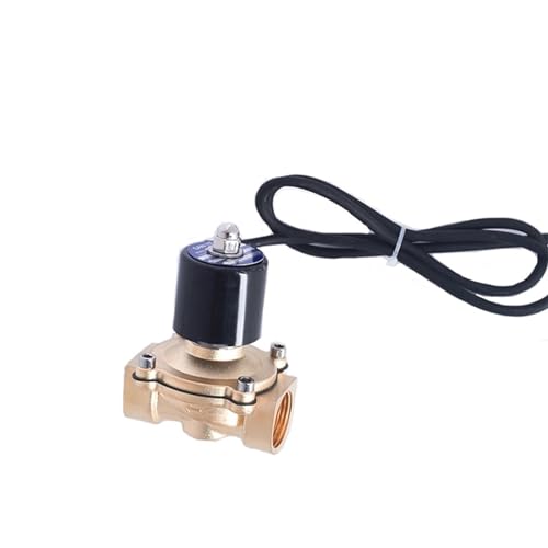 Électrovanne en laiton 1 pouce durable pour fontaine de jardin 2A-25