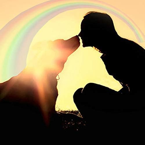 Rainbow Bridge Pet Memorial Gift Lava Bead Bracelet in Memory of Dogs Cats - Image 4