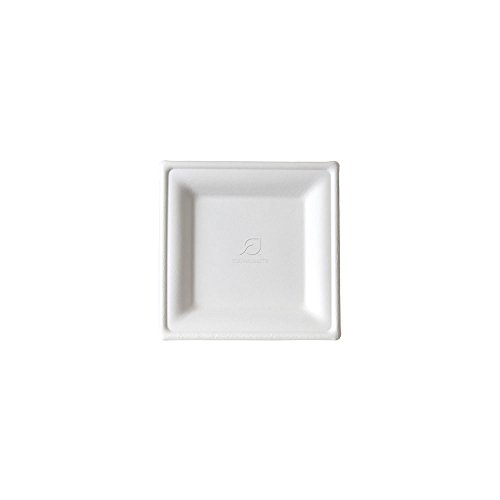 ECO PRODUCTS Disposable Square Sugarcane Plate, Eco-Friendly, Compostable, Grease and