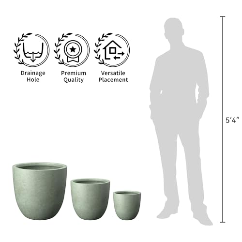 Image of Kante Accent Round Bowl Mint Green Concrete Planter 14 inch Dia, Outdoor