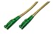 Produktbild R&M LWL Patch-Kabel Glasfaser - 1-m OS2 - 2x E2000 APC Stecker - Fiber Netzwerk - Duplex - Single-Mode 09/125 µ