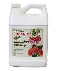 Organic Fish Emulsion with Kelp, one Gallon Size