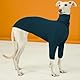 Whippet Mantel, Pyjama Whippet Sweater Whippet Jacke Whippet-Kleidung Italienische Windhund Pullover Warme Hundeweste Whippet Sweatshirt(Blau, S)