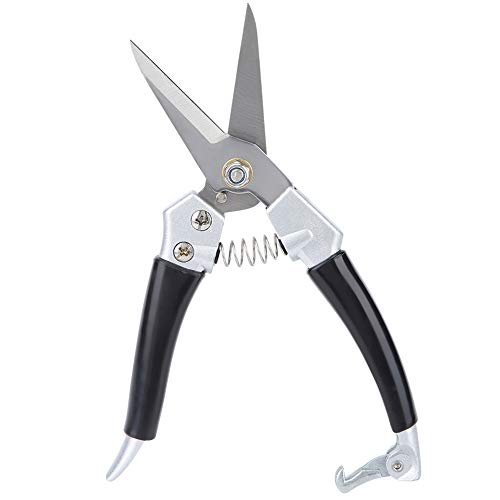 Qiter Garden Pruning Tools Multi-Functional Zinc Alloy Black PVC Pruning Shears Hand Pruner Straight Pruning Shears Gardening Fruit Tree Pruning Shears(Electroplating Process)