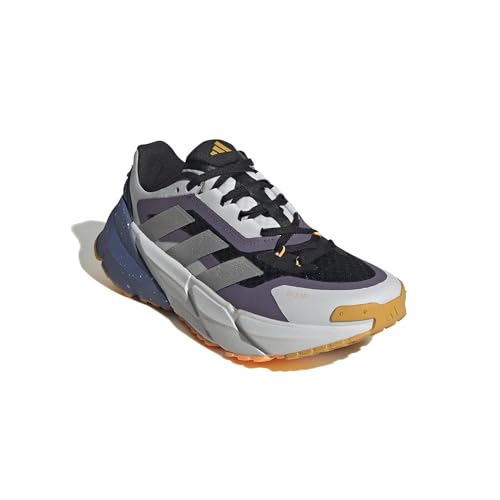 Adidas Adistar C.RDY W courir au chaud sans pieds mouillés