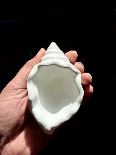 Image of TREETRUNK Handmade Minimalist Conch Shell | Jewellery /Makeup /Table Organizer l Home Decor l Candle Tray | Multipurpose (White)