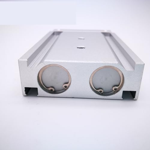 Vérin à double tige CXSM25-200 pour éliminer la torsion pneumatique