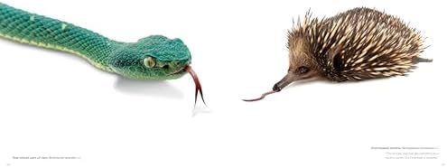 The Photo Ark: One Man's Quest to Document the World's Animals (National Geographic Photo Ark)