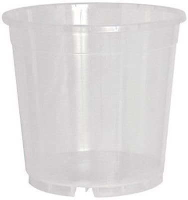 Standard Clear Orchid Pot - 15cm - Pack of 5