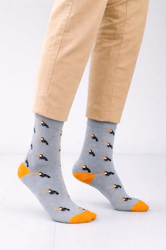 Image of Mint & Oak Long Socks For Men, Soft Cotton Calf Length Socks, Colorful Sock Gift For Men, Full Length & Odour Free, Funky Socks - Gift Box of 3