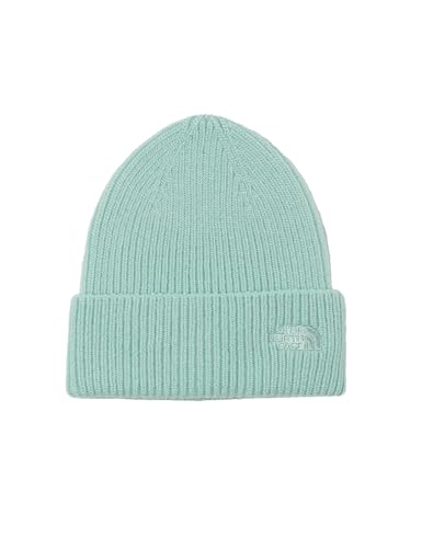 THE NORTH FACE(Um[XtFCX) Xq Baby Small Logo Beanie y[O[ BF
