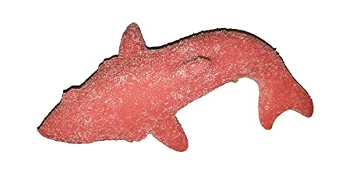 The Gummy Bear Guy Sour Shark Gummy Bear miniatura 2
