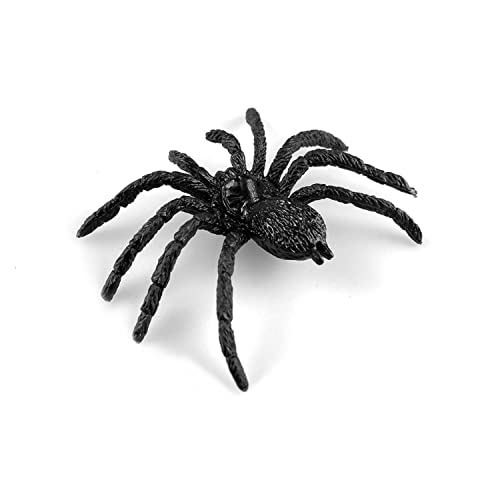 Why Do Spiders Stay Still? Unraveling the Mystery of Spider Behavior