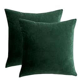 RainRoad Velvet Decorative...