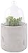 Produktbild Esschert Design Ziehglocke mit Betonsockel aus Beton und Glas, 12,8 x 12,8 x 21,8 cm