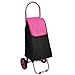 suneagle Leichter Einkaufswagen, Zusammenklappbarer Aufbewahrungskorb Mit 2 Lautlosen RäDern, Tragbarer 2In1-Aufbewahrungswagen Mit Aluminiumgriffen, Maximale KapazitäT 15 Kg,Pink