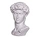 danila-souvenirs Michelangelo David Statue Head Classic Roman Greek Marble Bust Sculpture 6'' (15 cm), 1.7 lbs (770 g)