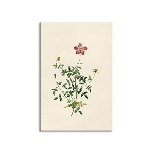 ?Be[Wt`Jg[TChA[gvgAAeB[NiRLoXEH[A[gAgt@[nEXEH[fR[VM[Aؘgt̊i rO[AQAItBXp (60x90cmi24x36inj,E)