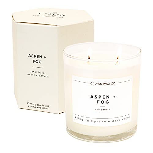 Calyan Wax Co. Aspen & Fog 2 Wick Scented Candle - 37 Hour Burn