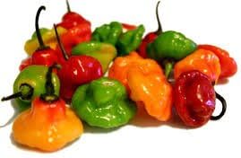 Fresh Aji Cachucha Peppers (1 Lb)