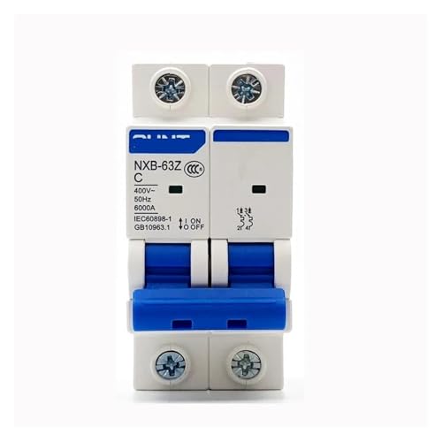 Disyuntor en miniatura NXB-63 tipo D 2P protege líneas de sobrecarga 20A