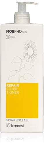 Preisvergleich Produktbild Morphosis Repair Shampoo 1000ml