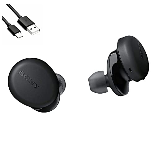 ソニー SONY WF-XB700 重低音モデル 防滴 + LafLife オリジナル Cタイプ 予備充電ケーブル セット