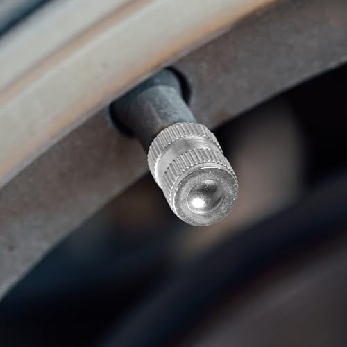 Trinkrittey Brass Tire Valve Caps
