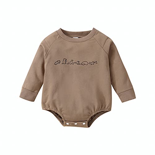 Twopumpkin Baby Girl Boy Crewneck Sweatshirts Oversized Knit Sweater Shirts Long Sleeve Romper Pullover Top Cute Fall Winter Clothes (Bx Dinosaur Brown, 3-6 Months)