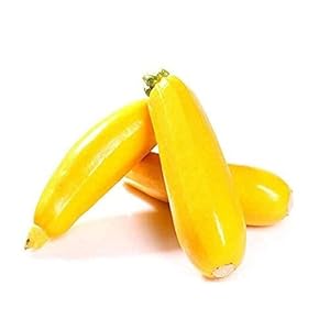 80st Geel Zeldzaam Courgette Zaden Non-GMO Heirloom Groente Zaadtuin Binnenplaats Boerderij Planten Pompoenrassen…